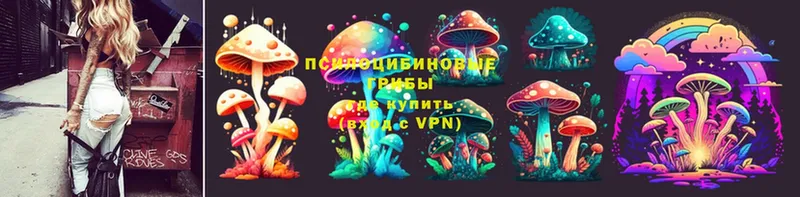 Галлюциногенные грибы Magic Shrooms  гидра сайт  Белоозёрский 